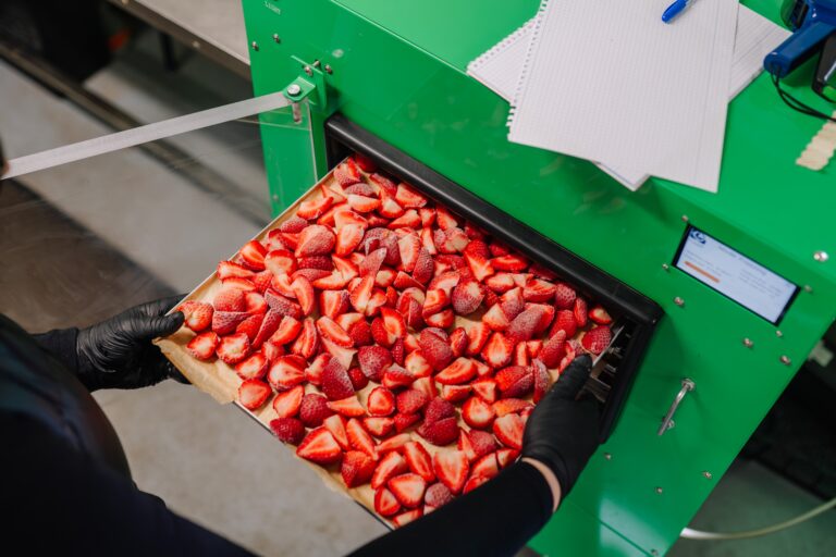 Quality inspection and scientific food ingredient testing in laboratory