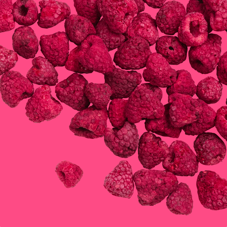 Chaucer Foods scientific and manufacturing team working on high-quality ingredients