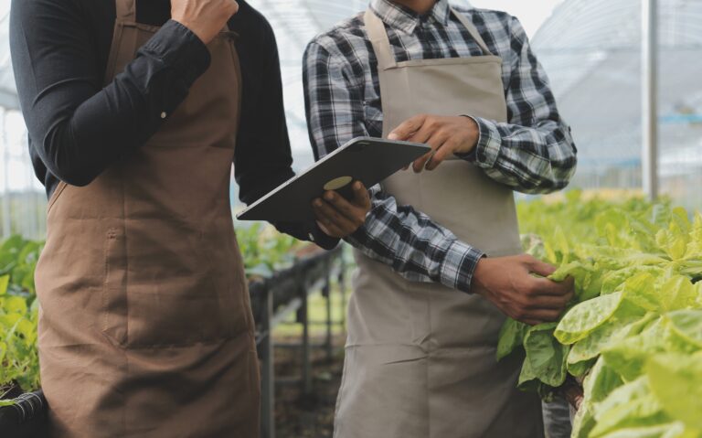 Agricultural Engineers Monitoring Crop Health and Soil Parameters in Industrial Greenhouse