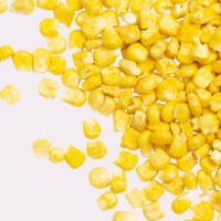 Wholesale Freeze Dried Vegetables