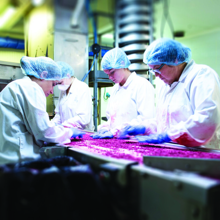 Chaucer Foods global industrial freeze drying facility and manufacturing plant