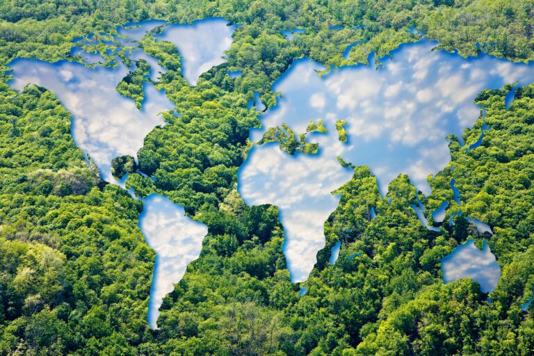 Global regulatory compliance and supply chain expertise map