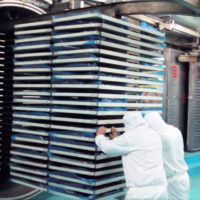Freeze-dried food ingredient production process
